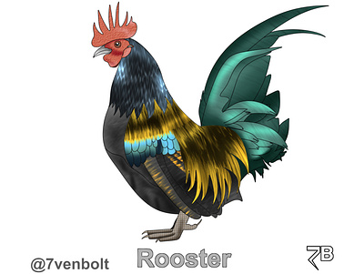 Rooster animal art artwork drawing illustration myart oc portrait rooster