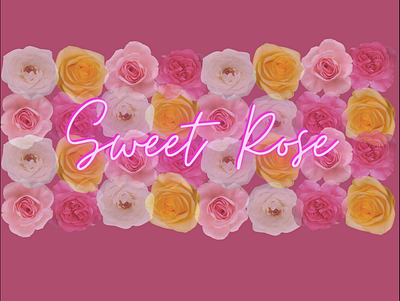 Rose perfume graphic design roses sweetrose