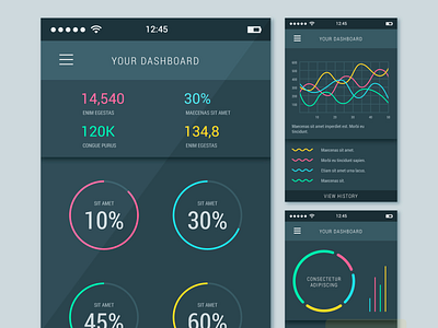 App Dashboard Design