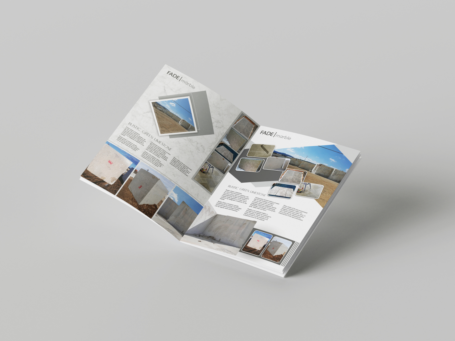 Newsletters and Brochure Design by DESIGNMAZE on Dribbble