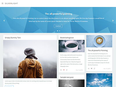 Silverlight - Tumblr Theme