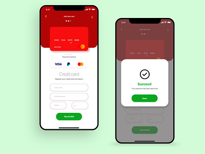 UI Credit Card Checkout on Iphone 12