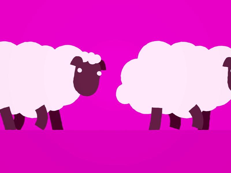 Sheep following sheep... aftereffects animated animatedgif animation characteranimation vector vector illustration walkcycle