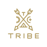 Tribe Interactive