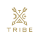 Tribe Interactive