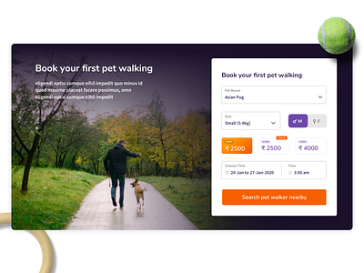 Pet waking form app appointment form pet popup registration ui