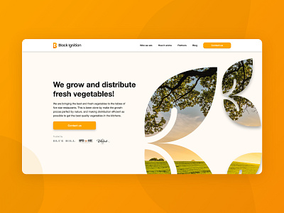 Black Ignition Landingpage branding landingpage ui ux uidesign webdesign websites