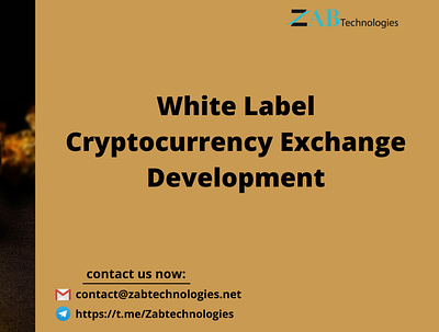 White label cryptocurrency exchange development bitcoin crypto exchange cryptocurrency cryptocurrency exchange