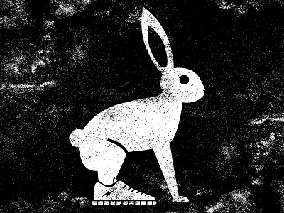 Jackrabbit illustration jack rabbit