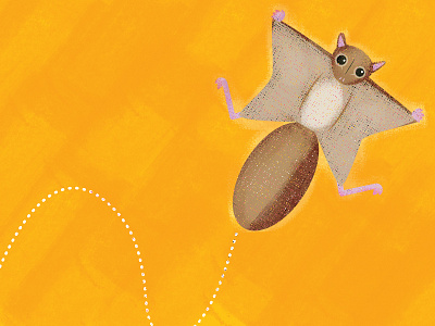 Flying Squirrel flying squirrel illustration