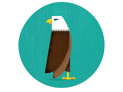Eagle eagle illustration merica