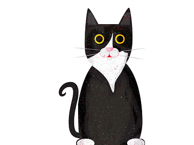 Dexter cats illustration pfcu