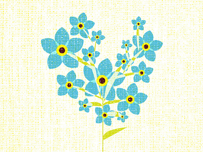 forget me nots flowers illustration