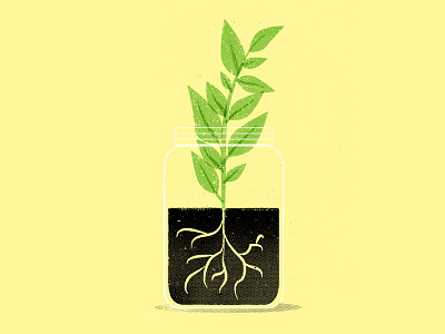 Plant Drib illustration plant