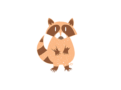 Racoon 01