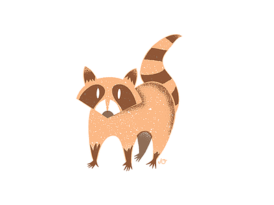 Racoon 02