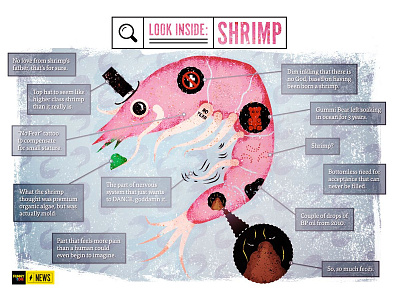 Look Inside: Shrimp funny or die illustration shrimp