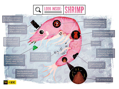 Look Inside: Shrimp