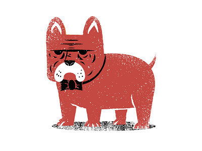 Bonsoir bowtie dog fancy frenchie frenchy illustration texture