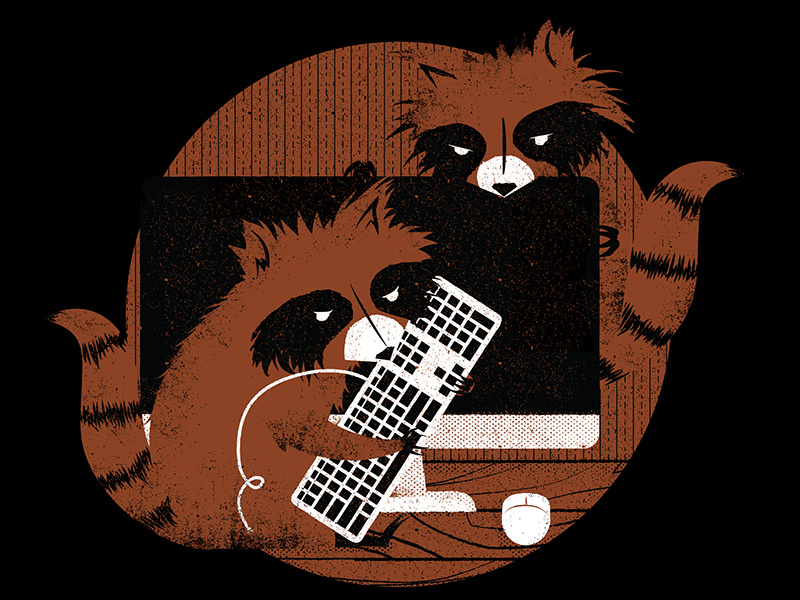 Raccoons by James Olstein on Dribbble