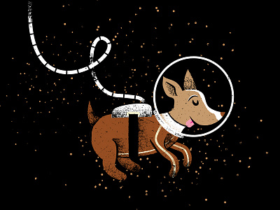 Illustrated Science 12 illustratedscience illustration laika phldesign russia science space