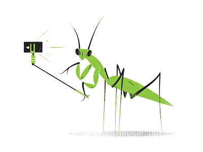 Illustrated Science 64 editorial editorial illustration illustrated science illustration philadelphia phldesign praying mantis science selfie