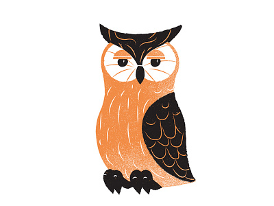 Hoooot grain halloween illustration owl texture