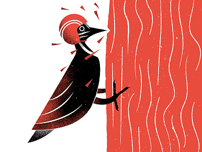 Illustrated Science 108 James Olstein bird grain helmet illustrated science illustration science woodpecker