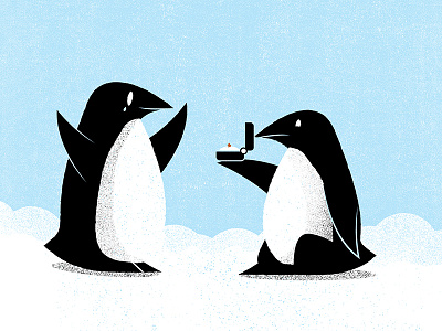 Illustrated Science 119 editorial grain illustrated science illustration love penguins science texture