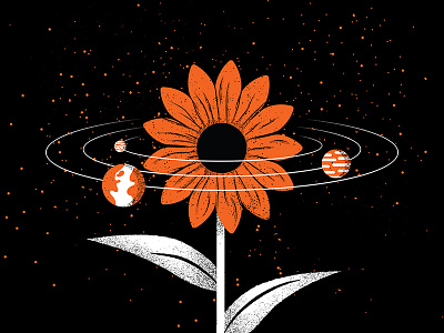 Illustrated Science 123 editorial editorial illustration flower grain illustrated science illustration science space texture zinnia