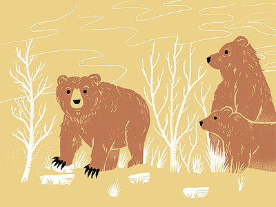 Bears bears illustration ipad live drawing museum procreateclub science sketchbook texture
