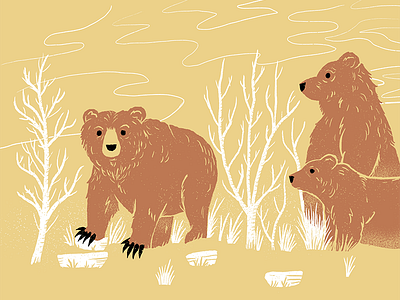 Bears