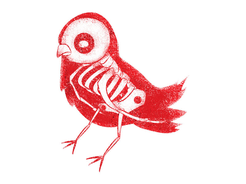 Bird XRay by James Olstein on Dribbble