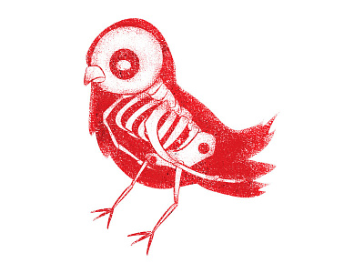 Bird X-Ray bird illustration science