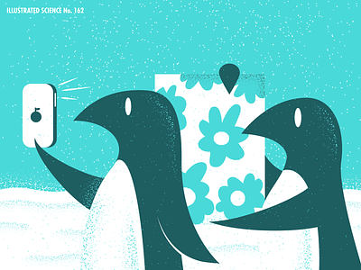 Illustrated Science 162 editorial editorial illustration illustrated science illustration penguins philadelphia science