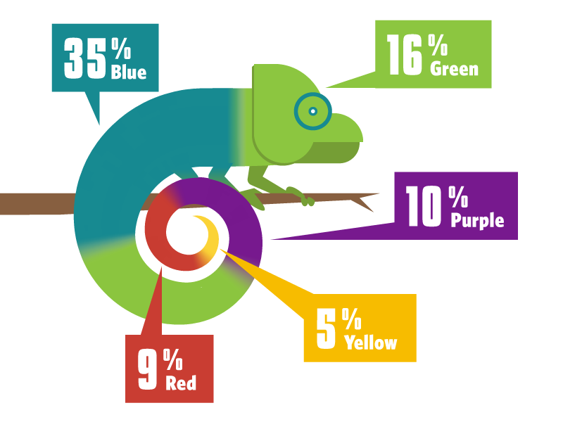 America's Favorite Colors graphic infographic colors chameleon