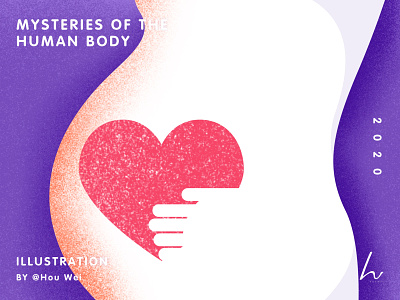 Poster Design - Mysteries of the human body art branding design heart illustration poster pregnancy sketch woman