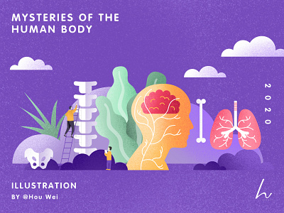 Poster Design - Mysteries of the  human body