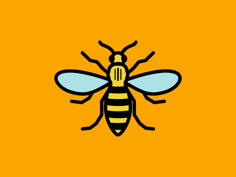 Manchester Worker Bee bee bug dribbble insect manchester meetup worker