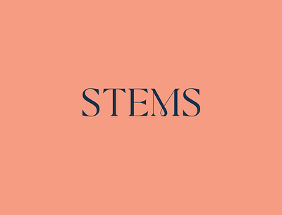 Stems Beauty: Primary Logo branding design graphic design logo