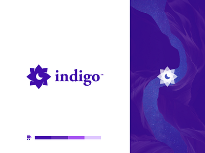 Indigo Logo V2