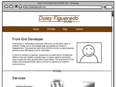 Daisy Designed Website 1.0 (Balsamiq Wireframe) balsamiq figma layout mockup sketch web design website wireframe