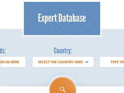 Database Search blue button database form orange search texture ui