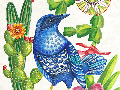 Bluebird bird blue bluebird cactus feathers flower illustration nature orchid passiflora watercolor