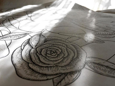 Nostalgia. Fragment: Brownie Hawkeye brownie camera drawing flower hawked illustration in ink kodak nature progress rose