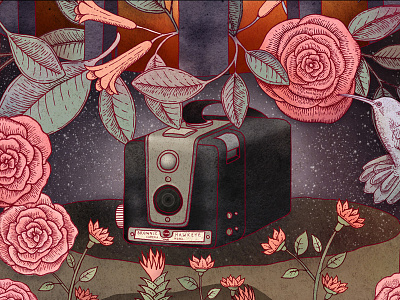 Nostalgia. Fragment: Brownie Hawkeye art brownie camera drawing flower hummingbird illustration ink kodak nature print stars