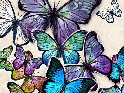 Butterflies blue butterflies butterfly colors drawing illustration ink nature