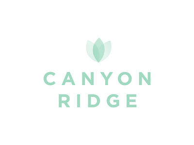 Canyon Ridge brand branding gotham logo mark