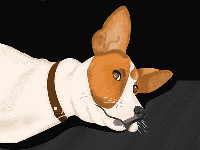 Dog Illustration art dog drawing illustration illustrator ipad painting procreate