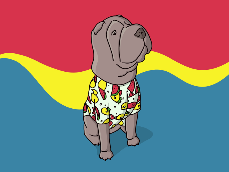 Good Lookin’ Boy good boy dog in clothes dog photo recreation procreate cartoon illustration digital 2d